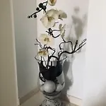Margareta Casa de Férias Novi Vinodolski